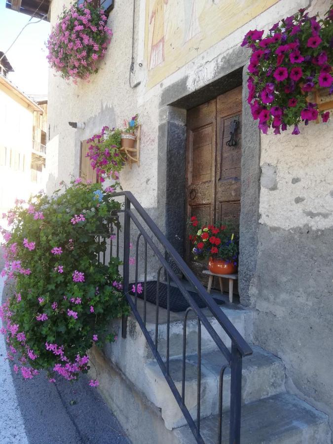 Dolomites Holidays Селва ди Кадоре Екстериор снимка